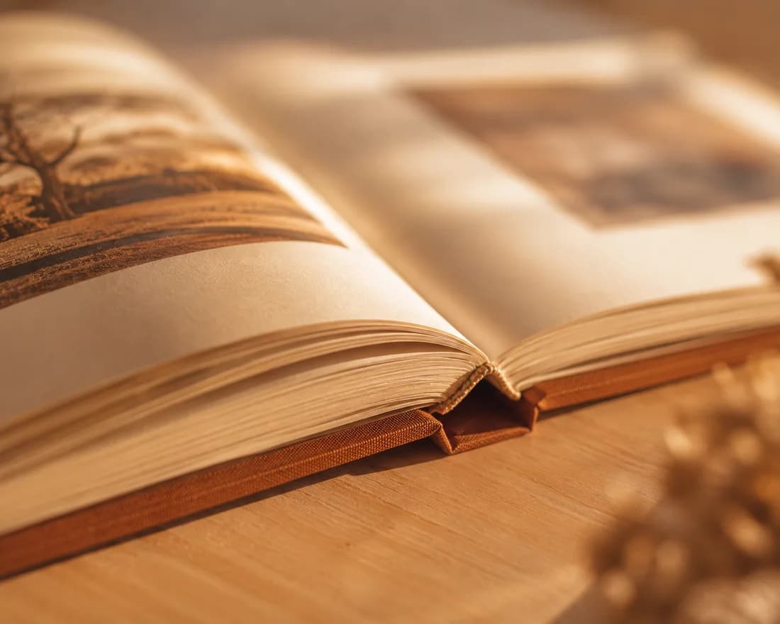 Un Livre de Vie Meastoria relié, ouvert sur une table